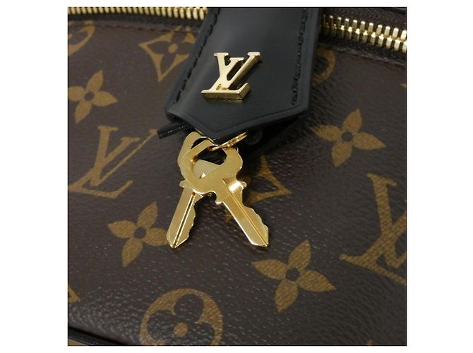 Borsa Louis Vuitton Monogram Vanity PM Marrone Monogramma - vista 4