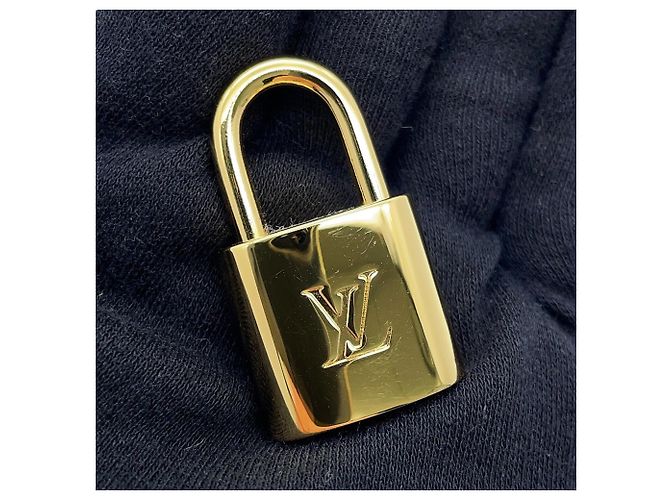 Borsa Louis Vuitton Monogram Speedy Bandoulière 25 Marrone - vista 17