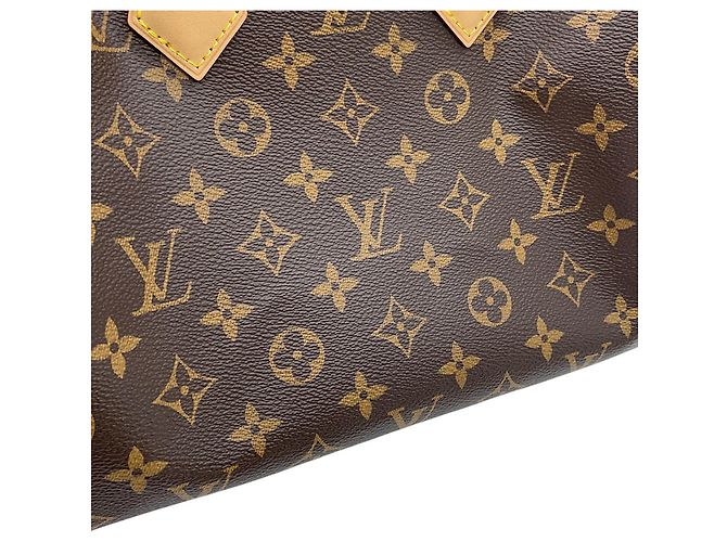 Borsa Louis Vuitton Monogram Speedy Bandoulière 25 Marrone - vista 7