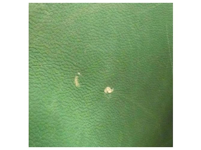 Hermès Borsa a mano Hermes Bolide 35cm in Verde - vista 10