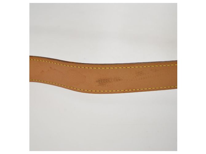 Louis Vuitton Croissant Monogram Canvas MM Marrone - vista 6