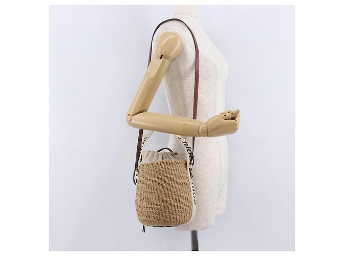 Chloé Chloe Woody Small Basket Shoulder Bag Raffia Beige - vista 21