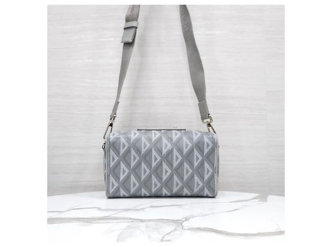 Dior Borsa Crossbody Diamond Ring Grigia Marrone - vista 3