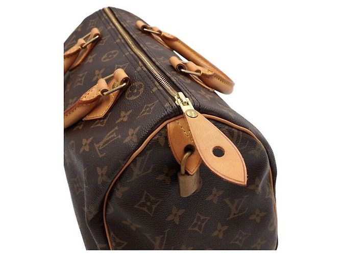 Louis Vuitton Speedy Tote Bag aus Monogram Canvas Mehrfarben - Ansicht 10