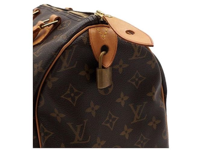 Louis Vuitton Speedy Tote Bag aus Monogram Canvas Mehrfarben - Ansicht 11