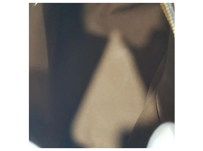 Louis Vuitton Borsa Speedy Marrone - vista 9