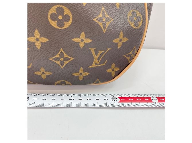 Sac à main Louis Vuitton Odeon GM Marron - vue 4
