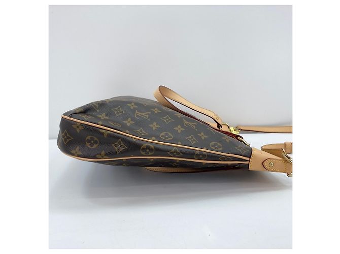 Sac à main Louis Vuitton Odeon GM Marron - vue 5