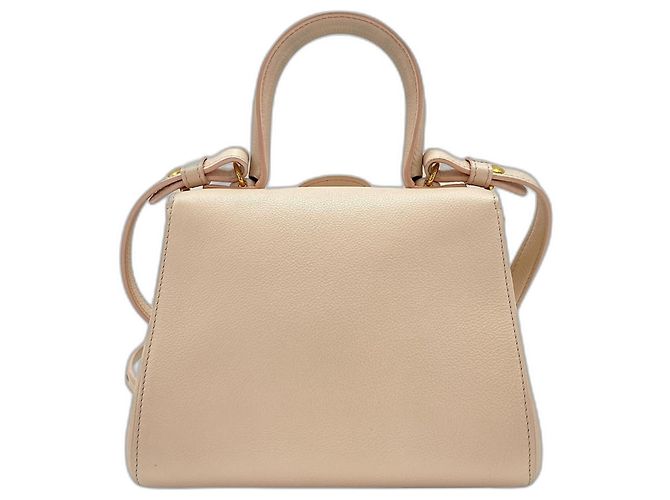 Borsa a tracolla Delvaux Brillant Mini in Rosa - vista 3
