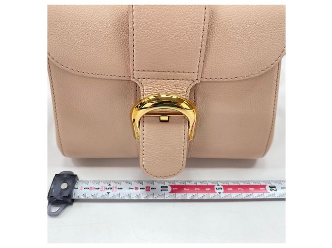 Borsa a tracolla Delvaux Brillant Mini in Rosa - vista 4
