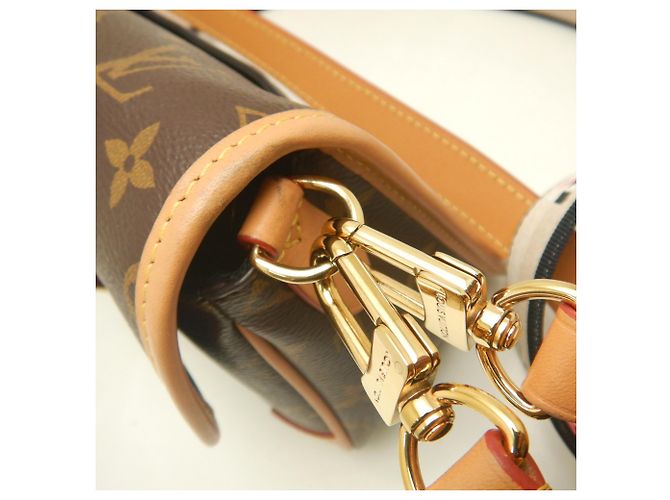 Borsa a tracolla Louis Vuitton Monogram Diane Marrone - vista 12
