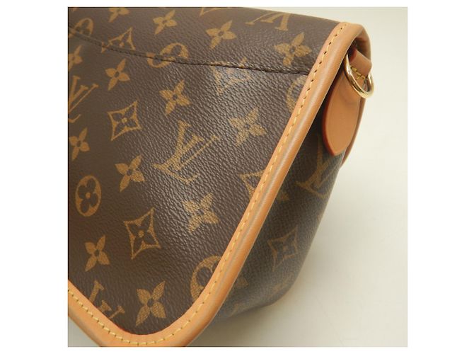 Borsa a tracolla Louis Vuitton Monogram Diane Marrone - vista 19