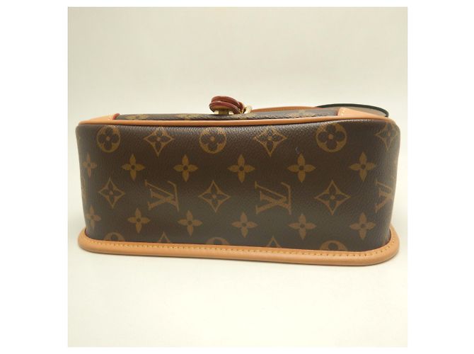 Borsa a tracolla Louis Vuitton Monogram Diane Marrone - vista 8