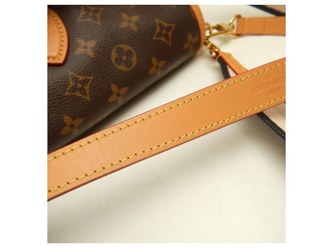 Borsa a tracolla Louis Vuitton Monogram Diane Marrone - vista 9