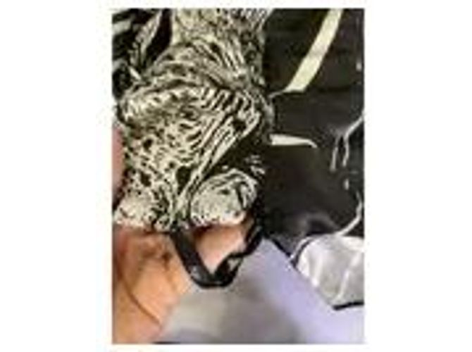 Autre Marque Aje asymmetrisches Kleid Schwarz - Ansicht 5