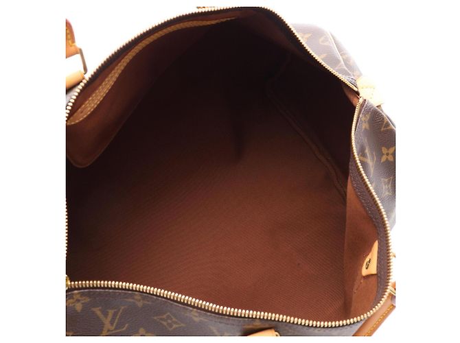 Borsa a mano Louis Vuitton Speedy 40 Marrone - vista 3