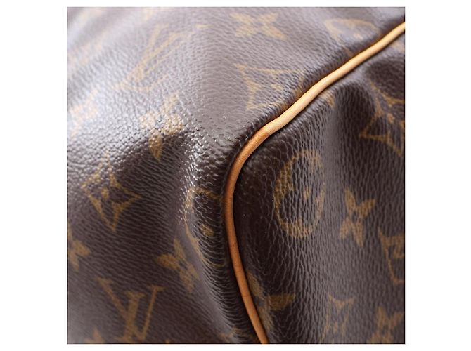Borsa a mano Louis Vuitton Speedy 40 Marrone - vista 6