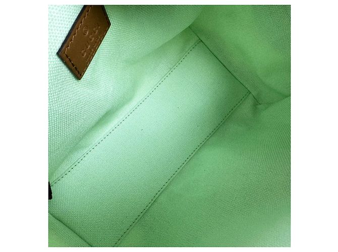 Borsa a mano/Borsa a tracolla Gucci Sherry Line Marrone Rosa Verde - vista 5