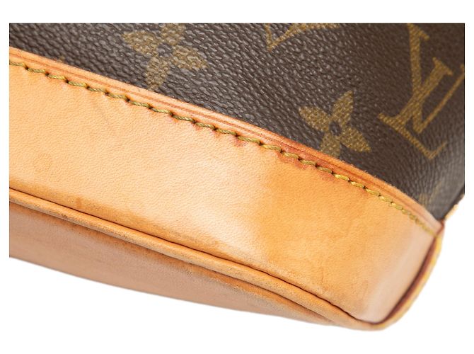 Louis Vuitton Brown Monogram Alma PM Marrone - vista 6