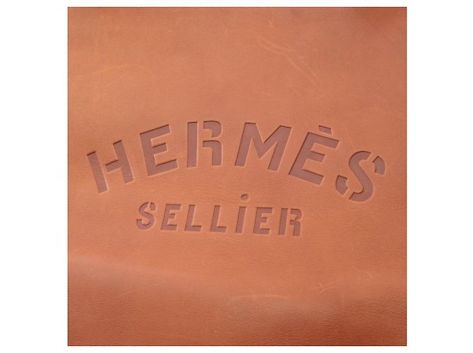 Hermès Borsa a tracolla Hermes Aline GM Marrone Rosso - vista 4