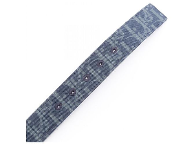 Christian Dior Dior x Denim Tears Wendelgürtel Grün Marineblau - Ansicht 3