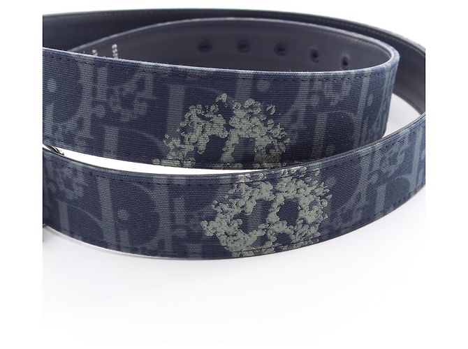 Christian Dior Dior x Denim Tears Wendelgürtel Grün Marineblau - Ansicht 6