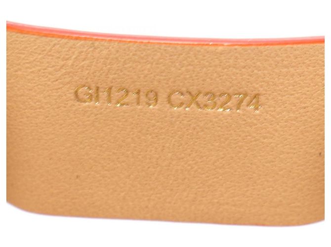 Charm Porta Borse Cane Monogram Louis Vuitton Marrone - vista 5