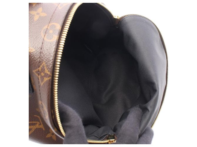 Zaino Louis Vuitton Palm Springs PM Marrone Beige - vista 3