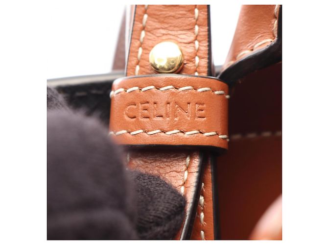Céline Celine Small Vertical Cabas Triomphe 2-Way Tote Bag Marrone Nero - vista 4