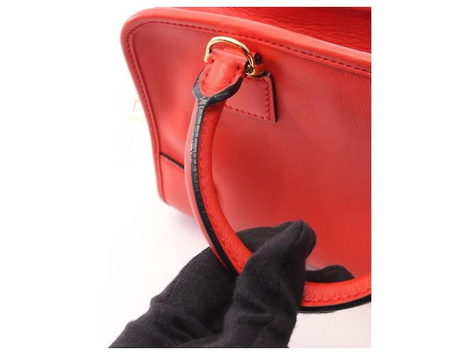 Borsa 2-Way Loewe Amazona 23 Rosso - vista 9