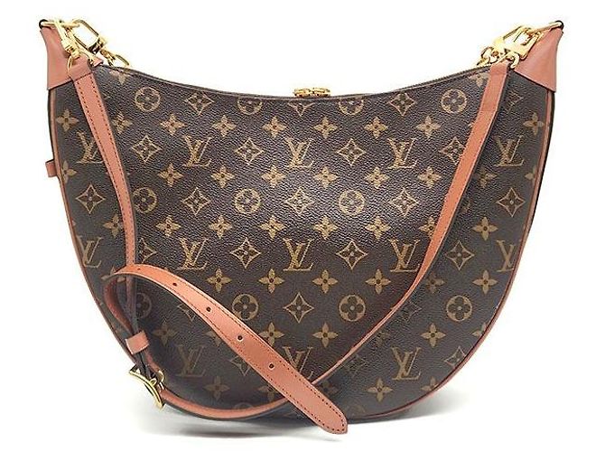 Louis Vuitton Borsa Hobo Monogram Loop Marrone - vista 3