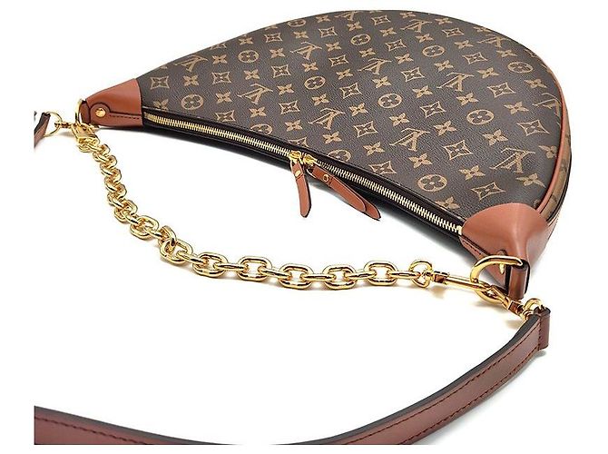 Louis Vuitton Borsa Hobo Monogram Loop Marrone - vista 6