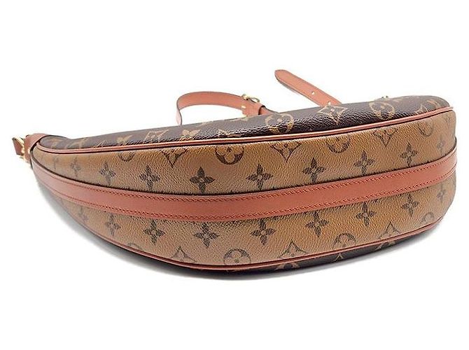 Louis Vuitton Borsa Hobo Monogram Loop Marrone - vista 7