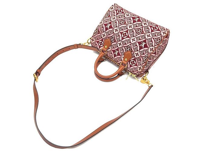 Louis Vuitton Bandoulière Speedy 25 Pelle Rosso Bordeaux - vista 4