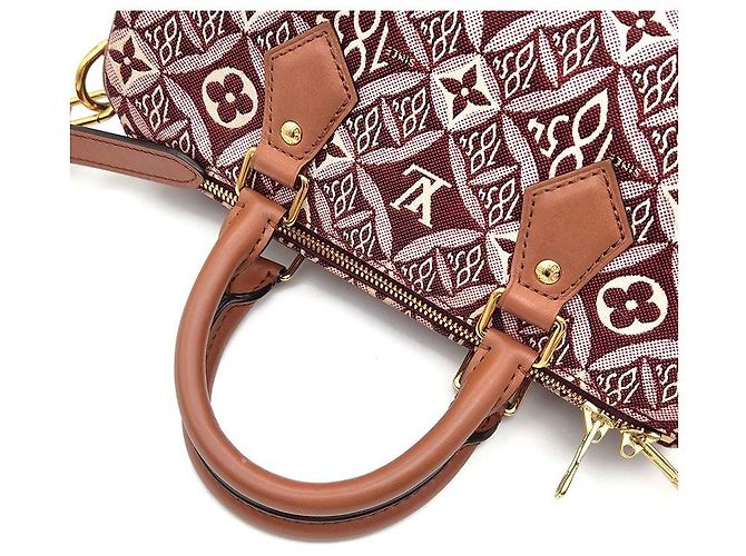 Louis Vuitton Bandoulière Speedy 25 Pelle Rosso Bordeaux - vista 5