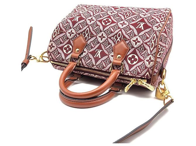Louis Vuitton Bandoulière Speedy 25 Pelle Rosso Bordeaux - vista 6