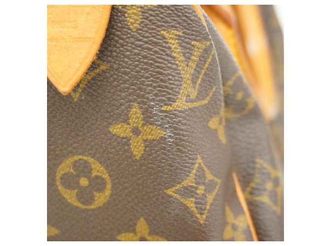 Borsa Louis Vuitton Monogram Speedy 25 Marrone - vista 10