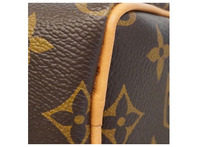 Borsa a mano Louis Vuitton Monogram Vivienne Nano Speedy Marrone - vista 6