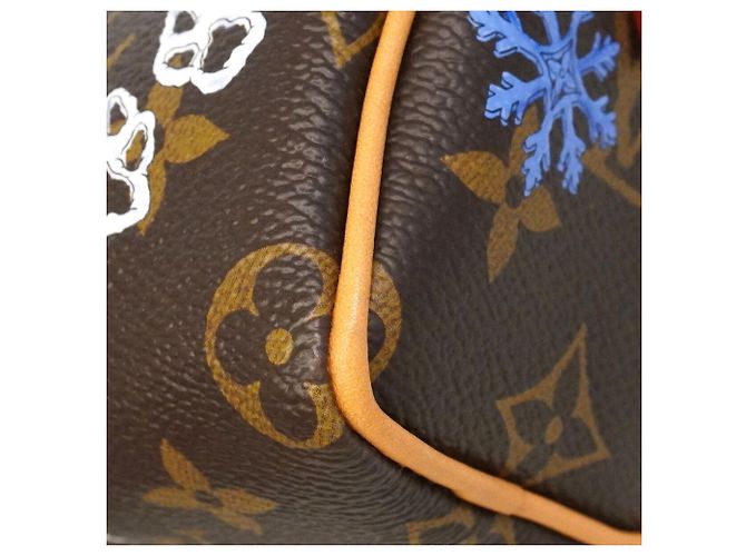 Borsa a mano Louis Vuitton Monogram Vivienne Nano Speedy Marrone - vista 7