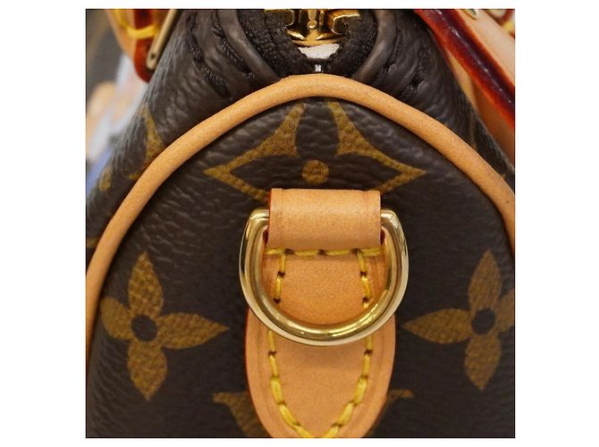 Borsa a mano Louis Vuitton Monogram Vivienne Nano Speedy Marrone - vista 8