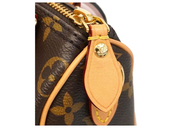 Borsa a mano Louis Vuitton Monogram Vivienne Nano Speedy Marrone - vista 9