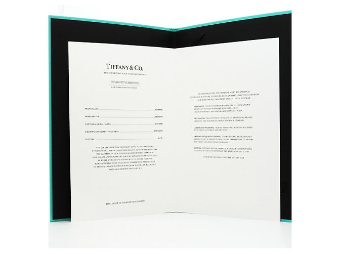 Tiffany & Co. Solitärring aus Platin 950 - Ansicht 10