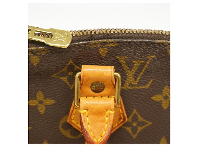 Borsa a mano Louis Vuitton Alma Monogram Marrone - vista 10