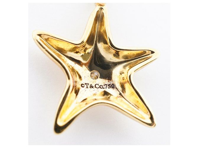 Collana Starfish Tiffany & Co. - vista 6