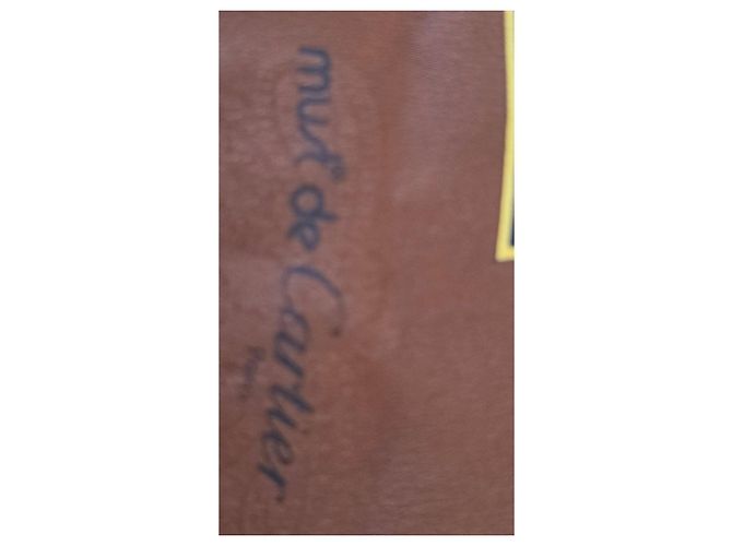 Foulard in seta Cartier Must de Cartier - Marrone e Beige D'oro - vista 5