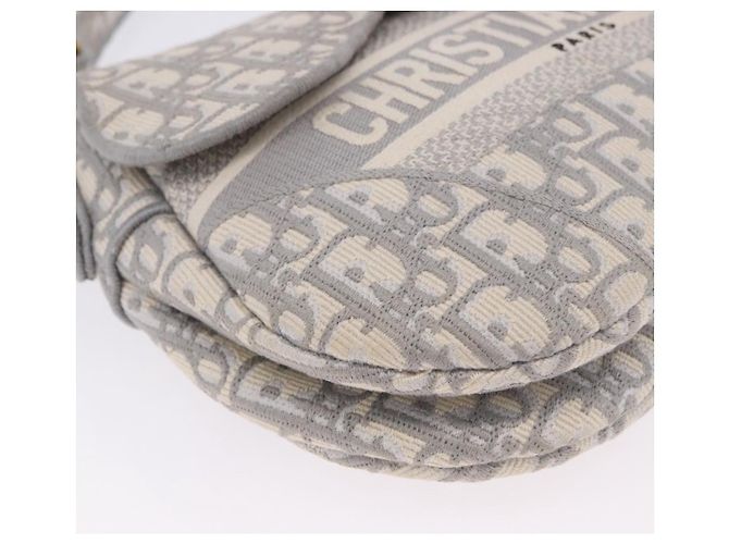 Borsa Christian Dior Trotter Canvas Saddle Oblique Grigio Oro Auth 199836SM Marrone D'oro - vista 10