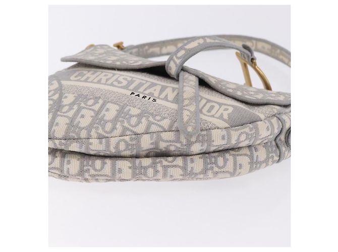 Borsa Christian Dior Trotter Canvas Saddle Oblique Grigio Oro Auth 199836SM Marrone D'oro - vista 11