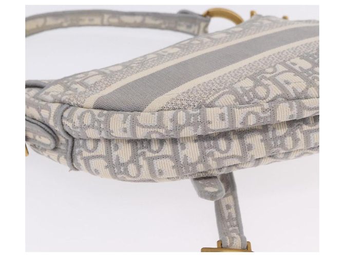 Borsa Christian Dior Trotter Canvas Saddle Oblique Grigio Oro Auth 199836SM Marrone D'oro - vista 12