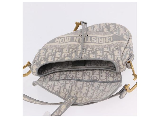 Borsa Christian Dior Trotter Canvas Saddle Oblique Grigio Oro Auth 199836SM Marrone D'oro - vista 16