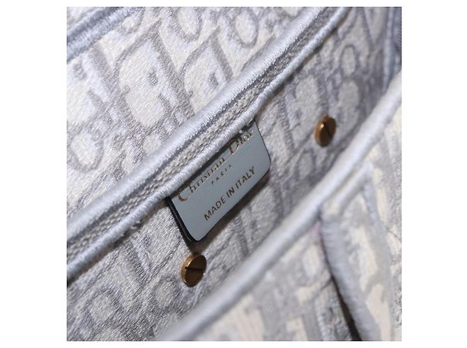 Borsa Christian Dior Trotter Canvas Saddle Oblique Grigio Oro Auth 199836SM Marrone D'oro - vista 17